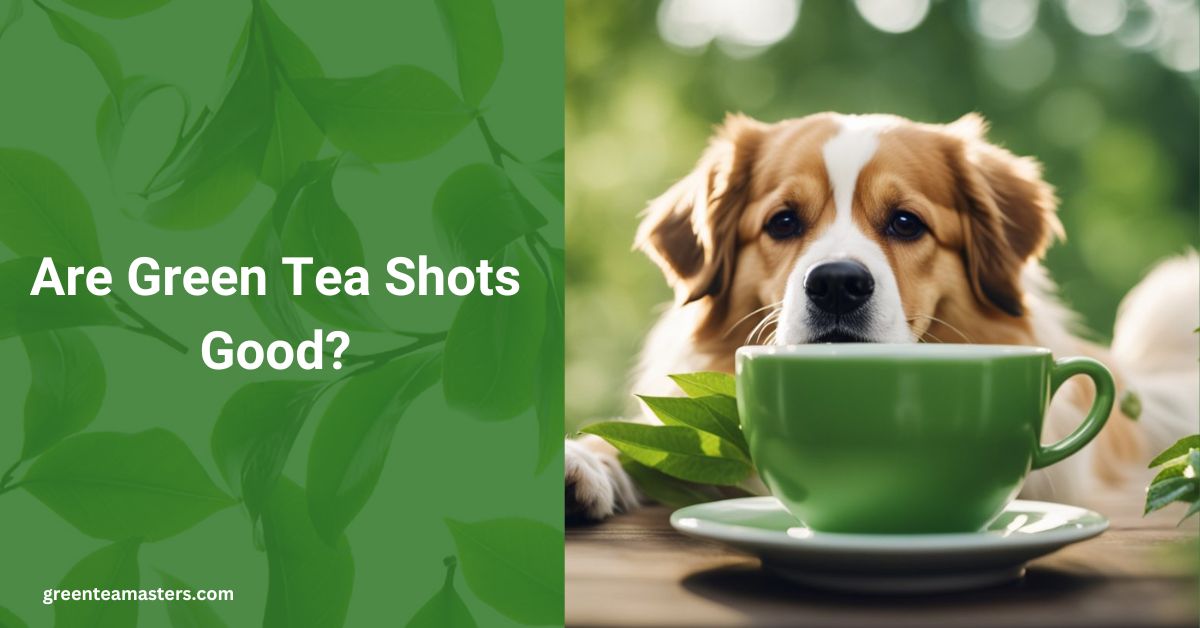 Can Dogs Have Green Tea?