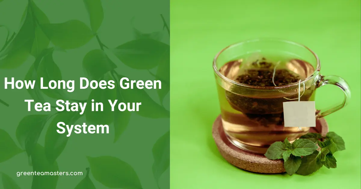 How Long Does Green Tea Stay in Your System